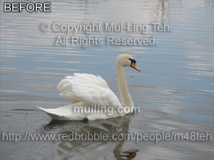 Raw version of "Like a White Cloud" by Mui-Ling Teh