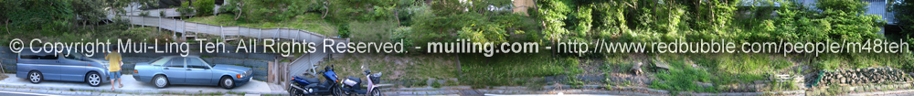 A photo stitch by Mui-Ling Teh composed of photos taken while walking around a site.