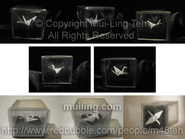 Miniature origami crane folded by Mui-Ling Teh in a hand-made acetate box folded by Mui-Ling Teh