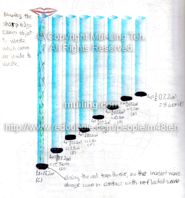 A drawing of a panpie by Mui-Ling Teh done on an acetate overhead sheet for a physics presentation.