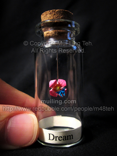 Hand coloured miniature pink origami flower with a miniature blue origami butterlfy in a bottle with the word "Dream" at the bottom.