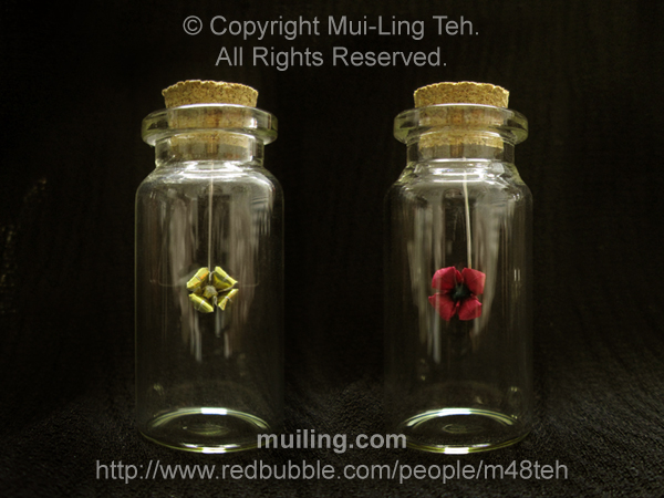 Miniature gold origami flower and red poppy by Mui-Ling Teh, hanging off needles in bottles.