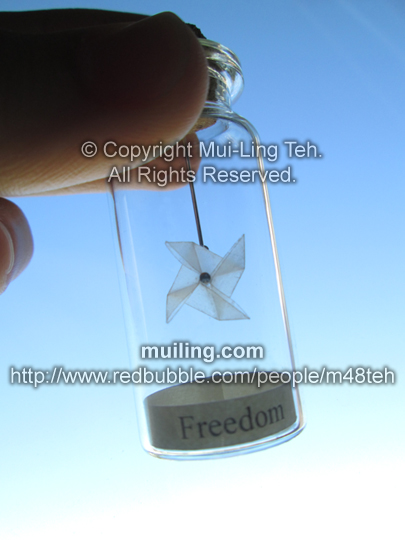 Plain translucent pinwheel in a bottle by Mui-Ling Teh
